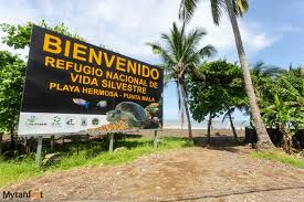 Picture of Playa Hermosa, Costa Rica