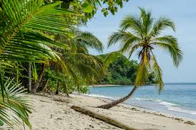 Picture of Playa Hermosa, Costa Rica
